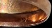 18 Karaat gouden ring 18 Karaat gouden ring