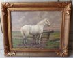 Albert Caullet "paard" 1875-1950. Albert Caullet "paard" 1875-1950