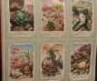 Liebig Chromos album Liebig Chromos album