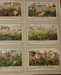 Liebig Chromos album Liebig Chromos album